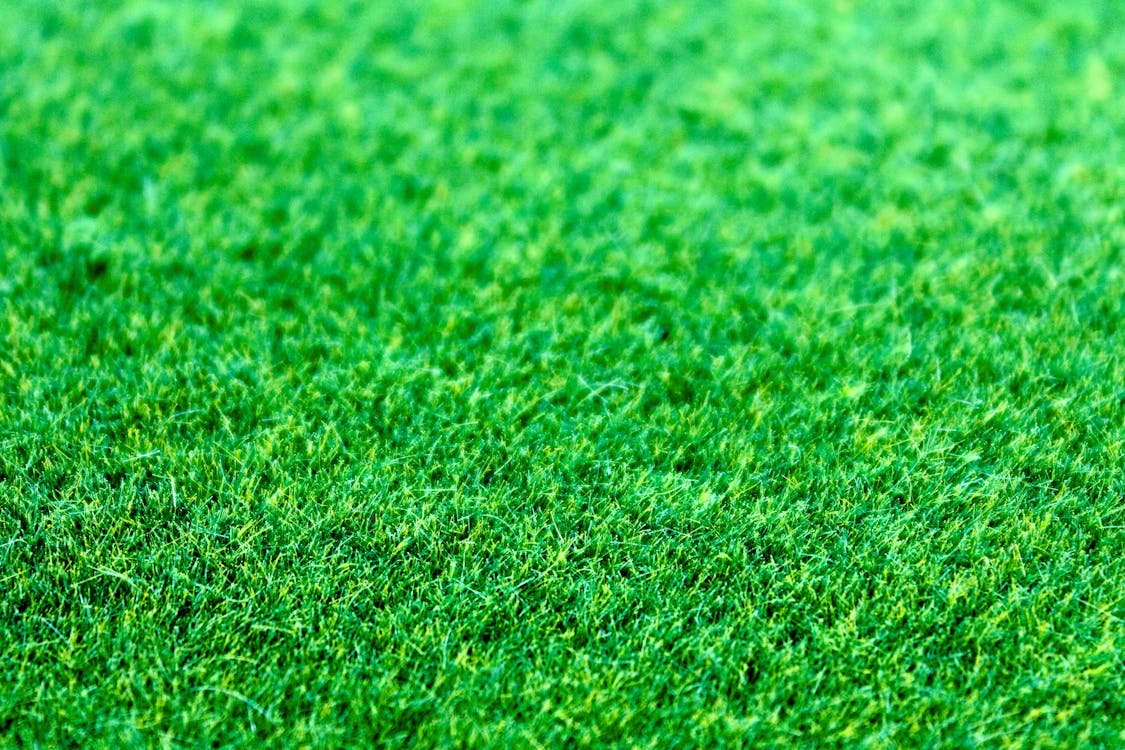 How to Make Your Lawn Greener: 10 Fast-Acting Tips