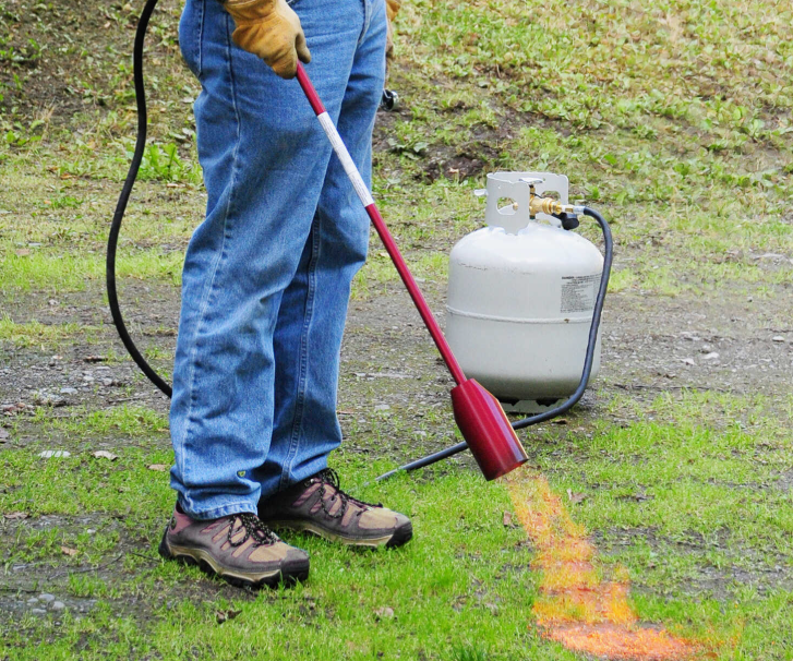 I Quit Using Weed Killer on My Driveway — A $35 Propane Torch Does It Better
