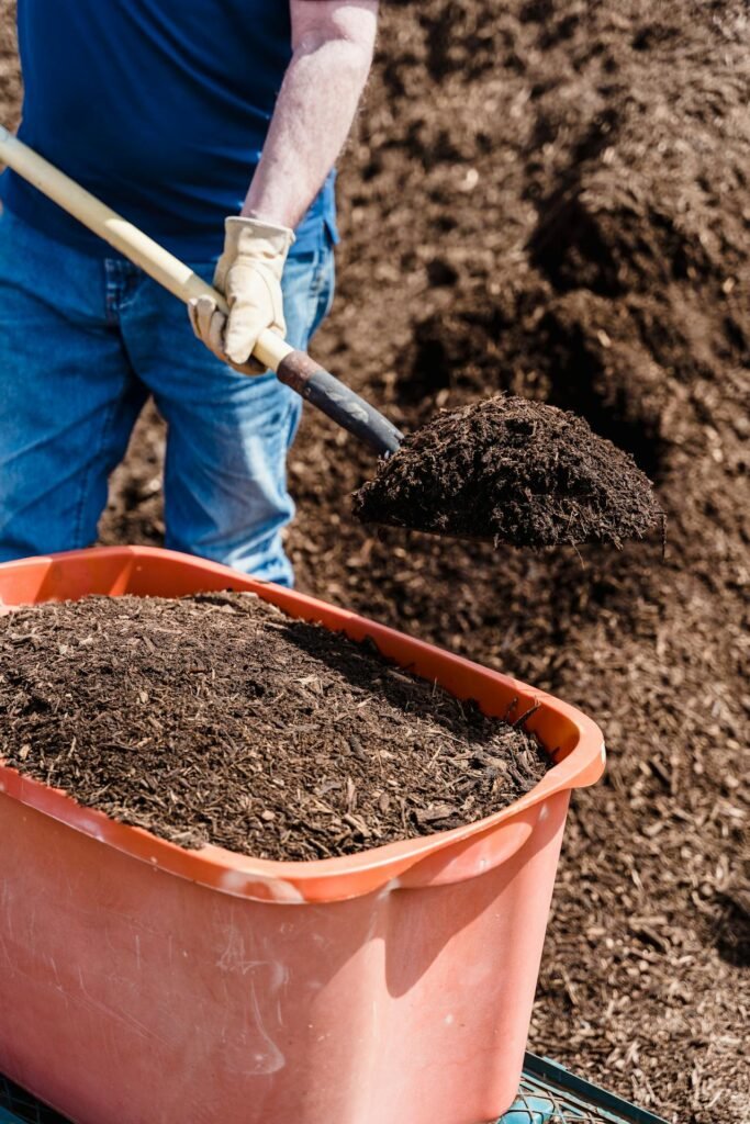 Composting 101: Turn Kitchen Waste into Garden Gold